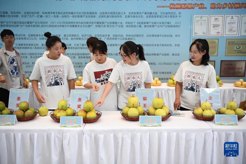 送跳槽彩金的网站大全